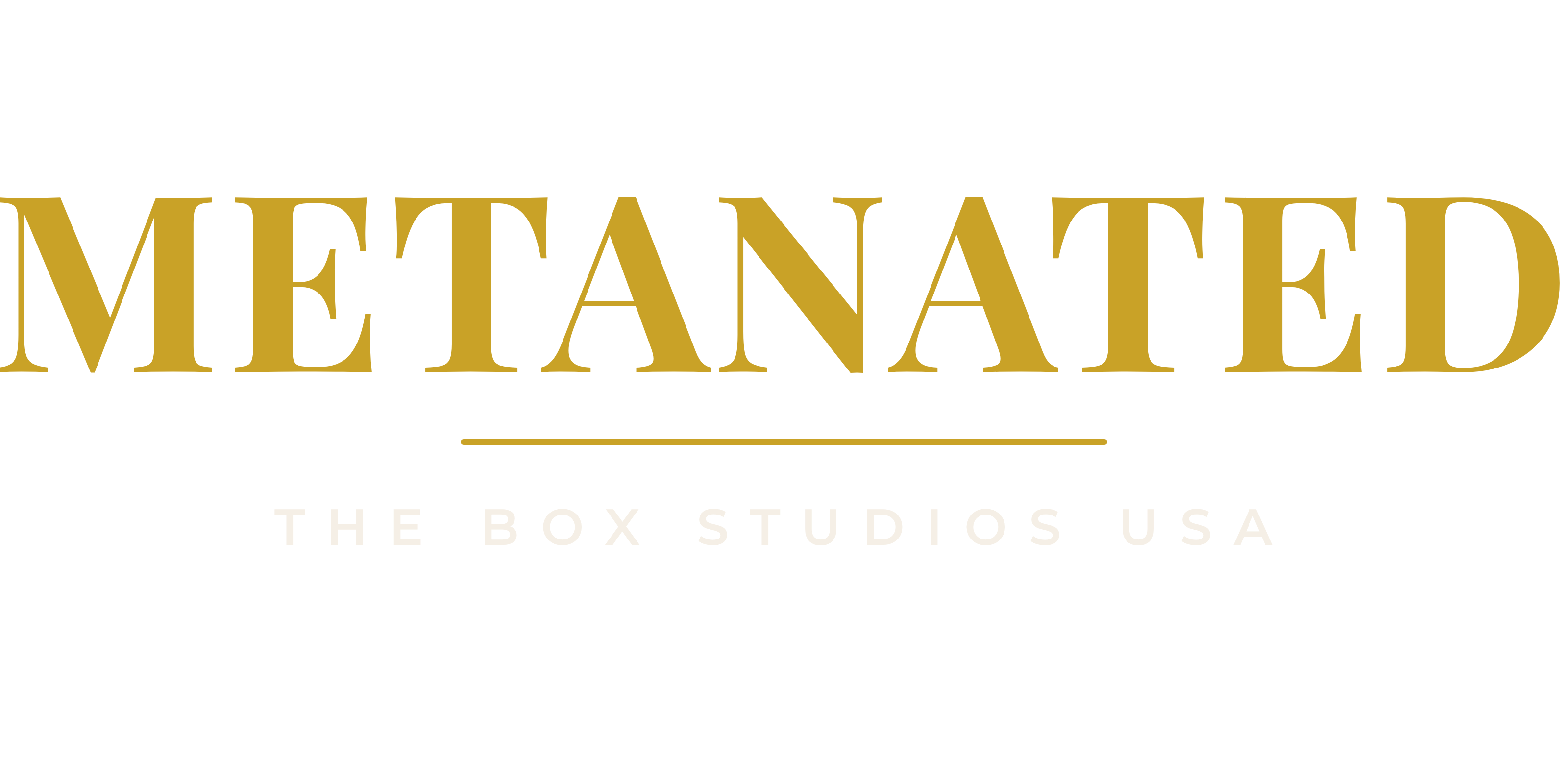 Metanated corporate lockup — The Box Studios USA